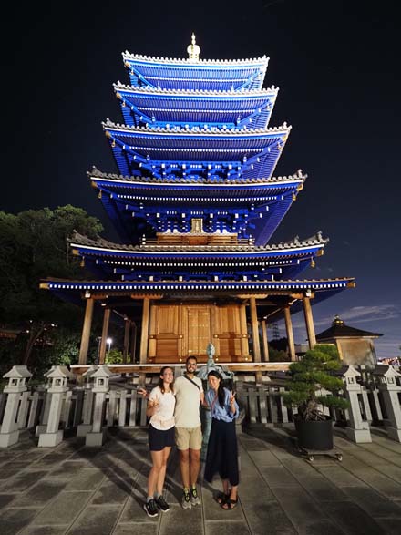 Tour notturno di Osaka